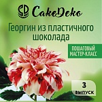 Георгин из пластичного шоколада - CakeDeco №3 (Электронная версия)